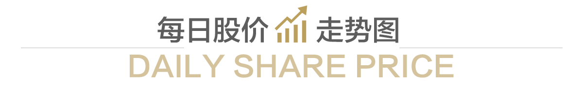 Daily stock price chart
